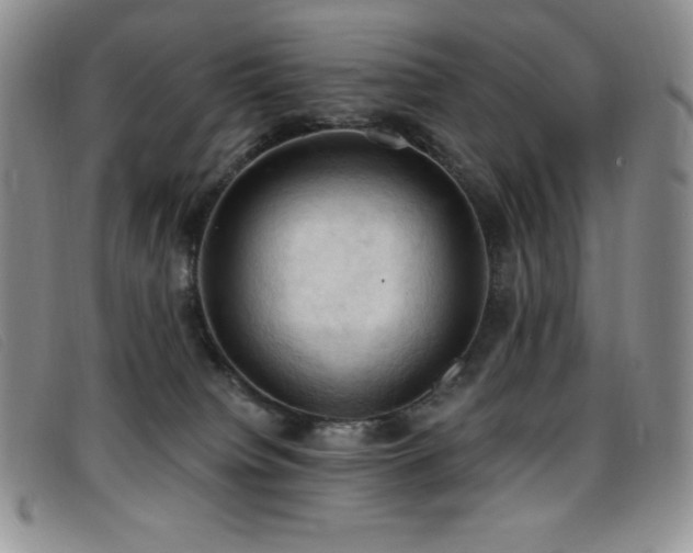 X0000096680084200802051255