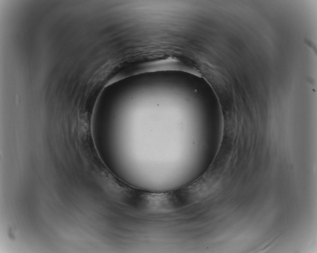 X0000096680085200802051255