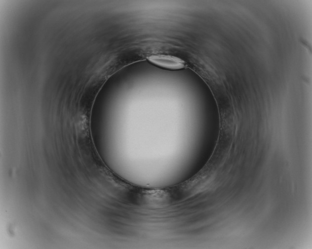 X0000096680087200802051255