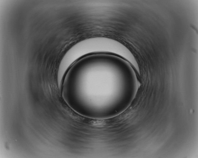 X0000096680088200802051255