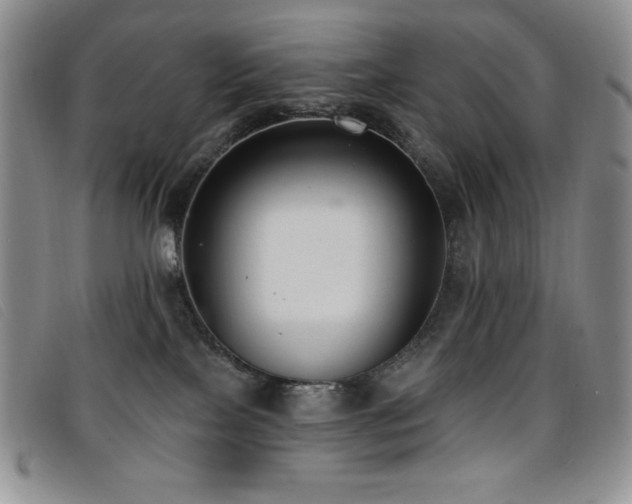 X0000096680089200802051255