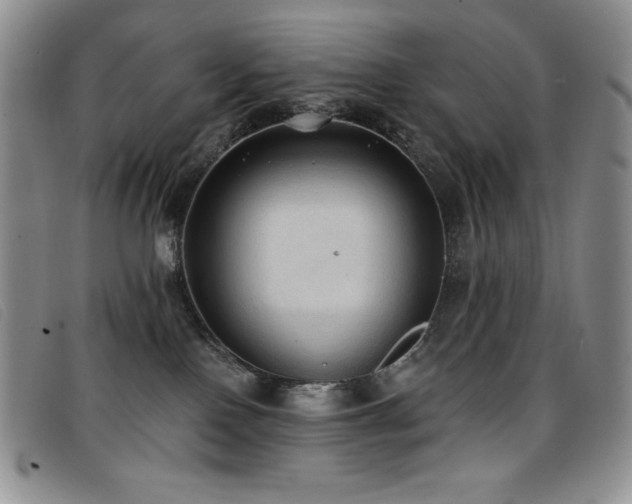 X0000096680090200802051255