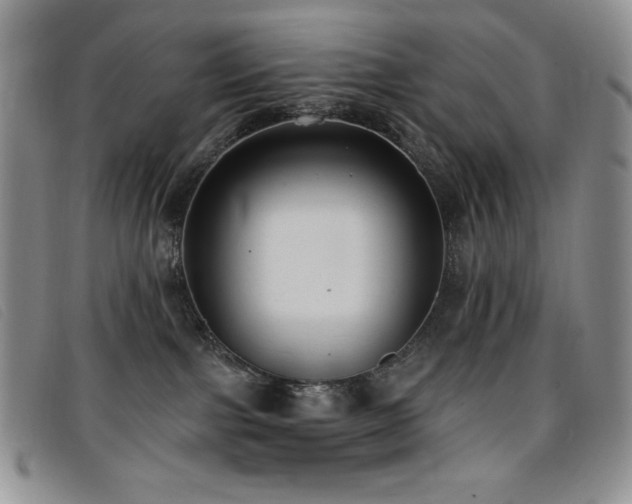 X0000096680091200802051255