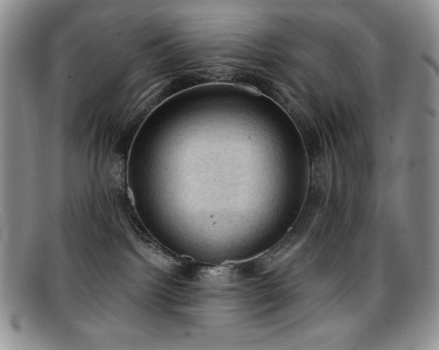 X0000096680092200802051255
