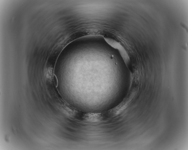 X0000096680093200802051256