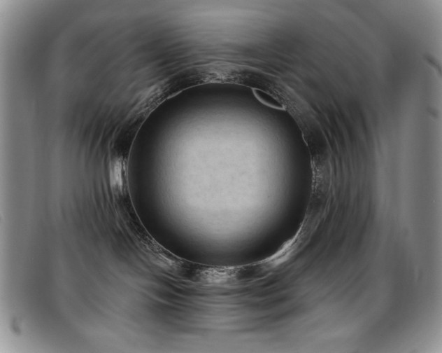 X0000096680094200802051256