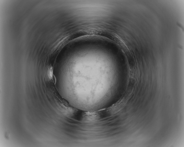 X0000096680095200802051256