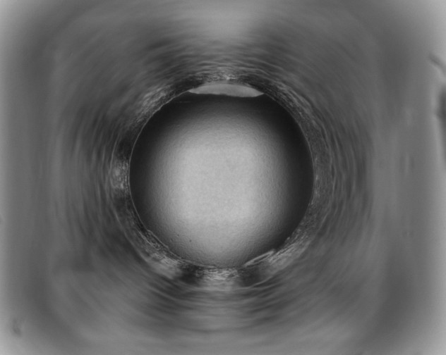 X0000096680096200802051256