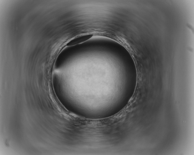 X0000096680097200802051255