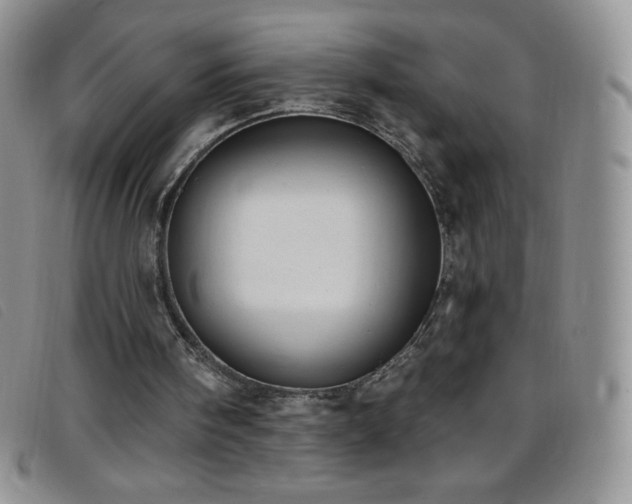 X0000096680098200802051255