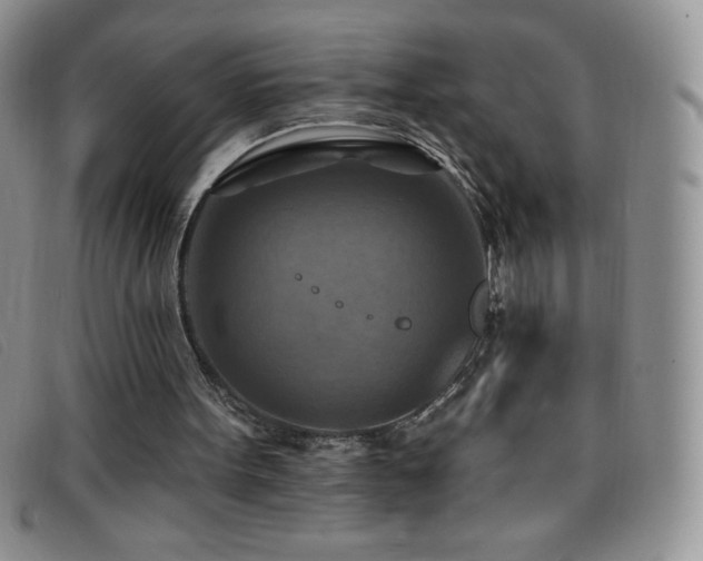 X0000096680099200802051255