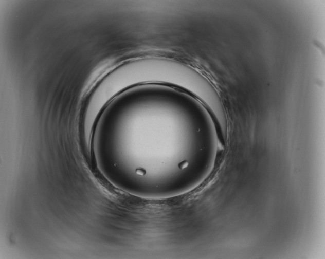 X0000096680101200802051255