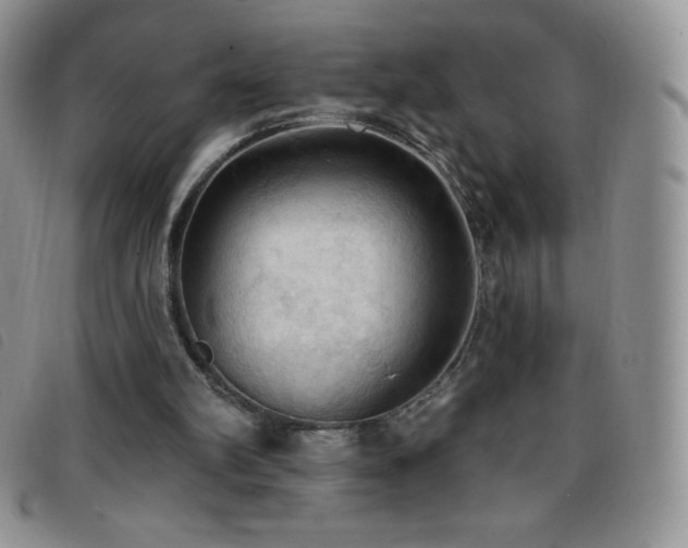 X0000096680102200802051255