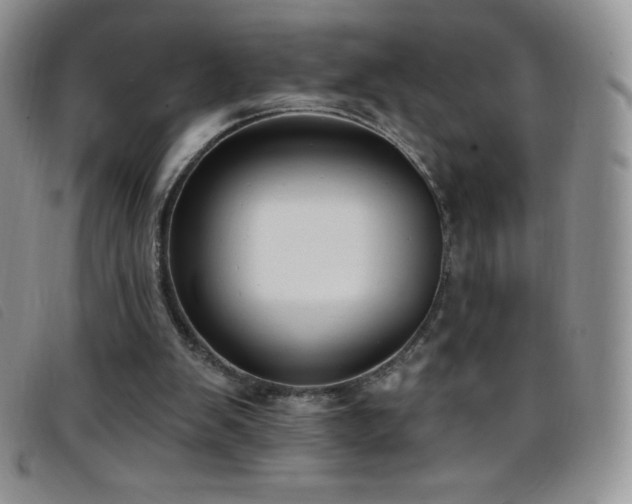 X0000096680103200802051255