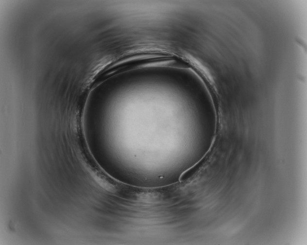 X0000096680105200802051255