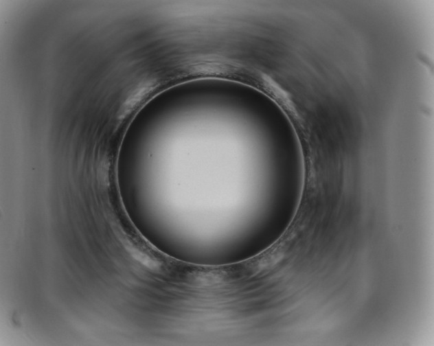 X0000096680106200802051255