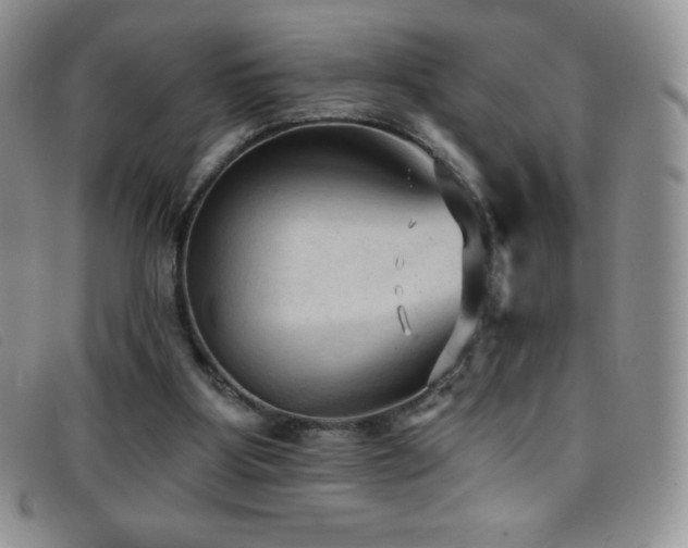 X0000096680107200802051255