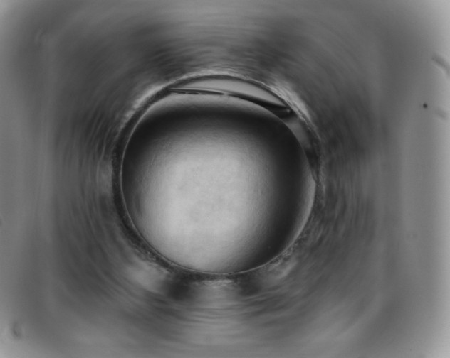 X0000096680108200802051255