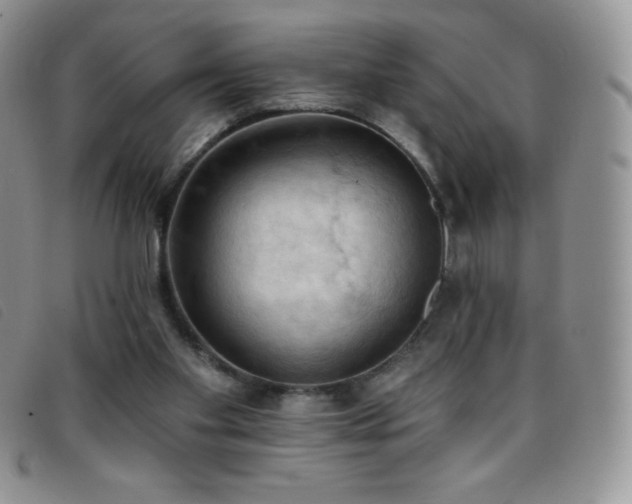 X0000096680109200802051255