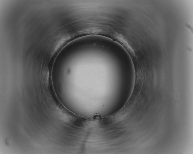 X0000096680110200802051255