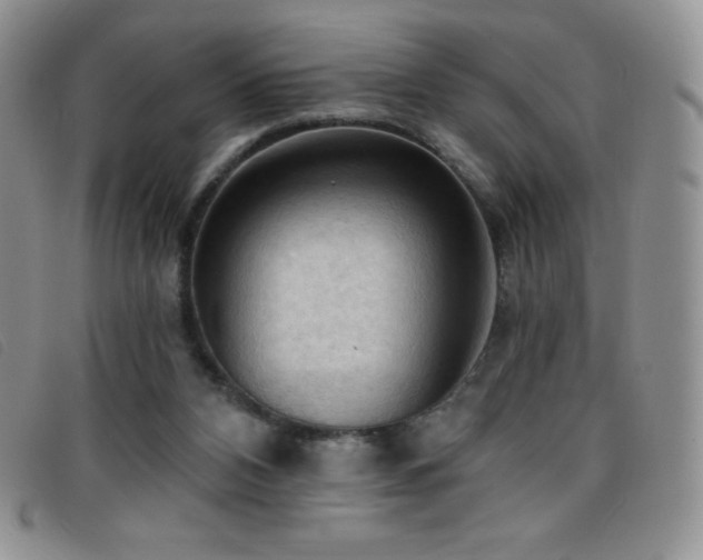 X0000096680112200802051255