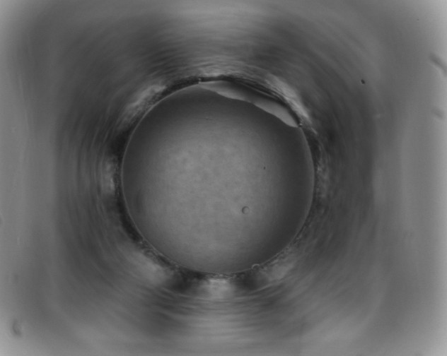 X0000096680114200802051254