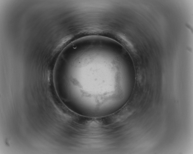 X0000096680115200802051254