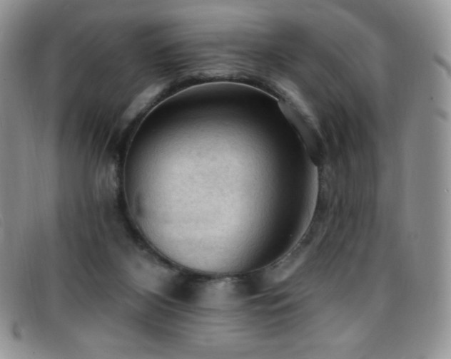 X0000096680116200802051254
