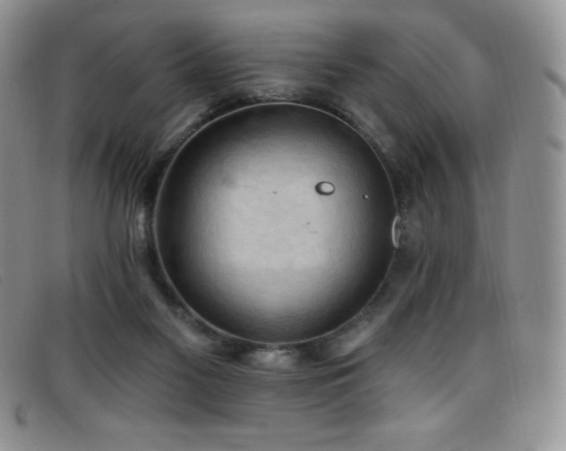 X0000096680117200802051254