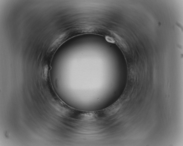X0000096680118200802051254
