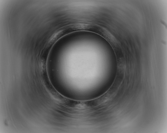 X0000096680119200802051254