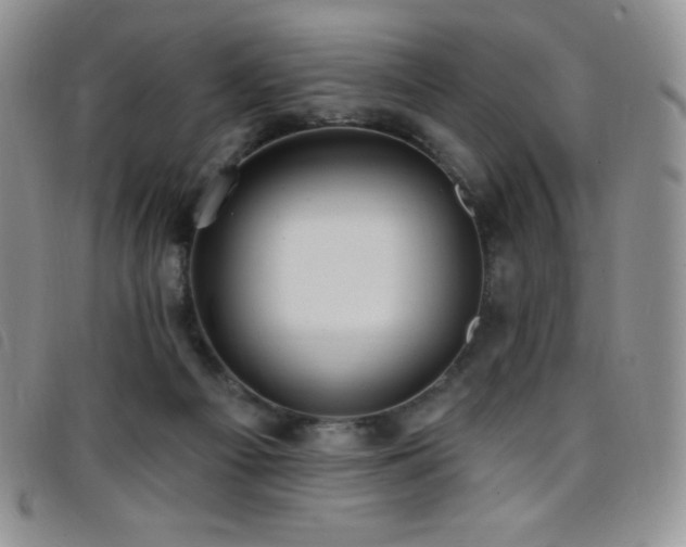 X0000096680121200802051254