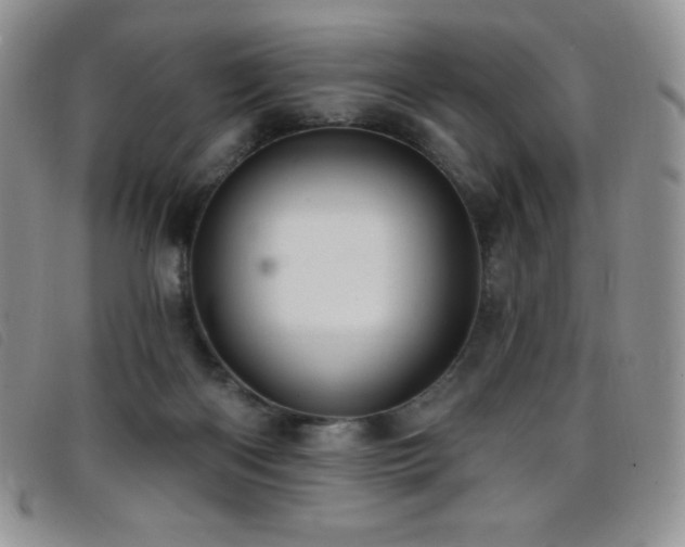 X0000096680122200802051254