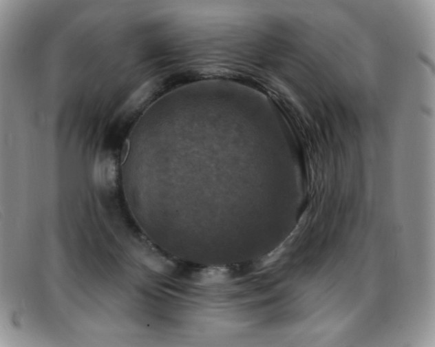X0000096680124200802051254