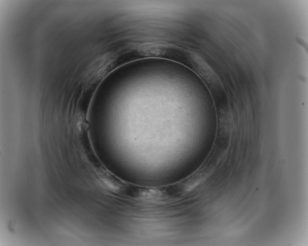 X0000096680125200802051254