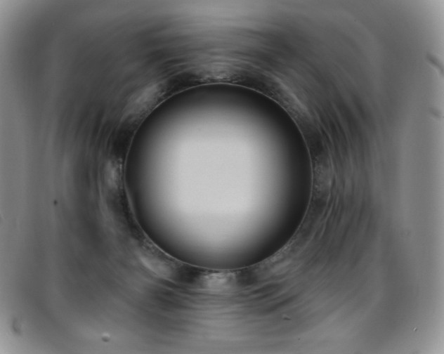 X0000096680126200802051254