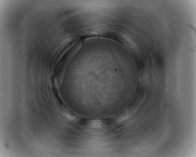 X0000096680127200802051254