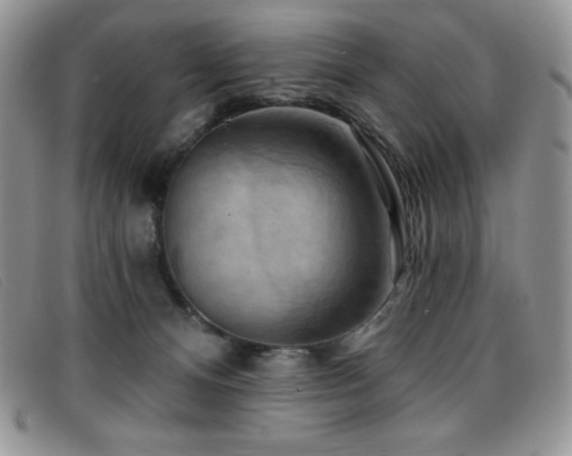 X0000096680128200802051254