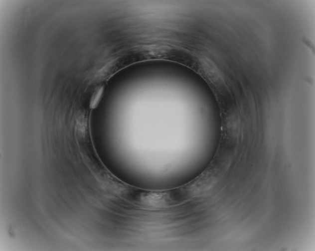 X0000096680129200802051254