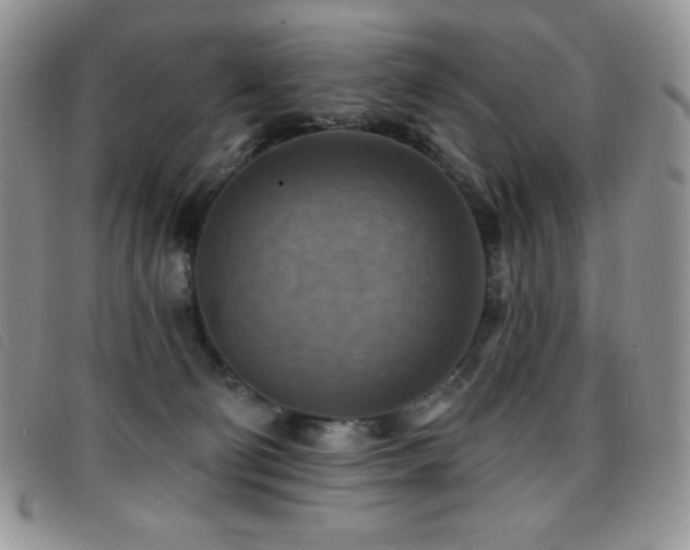 X0000096680130200802051254
