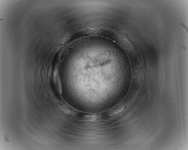 X0000096680131200802051254