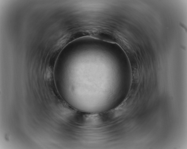X0000096680132200802051254