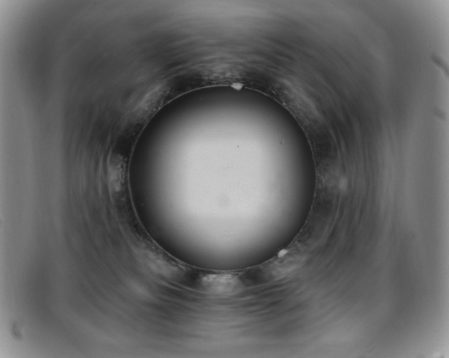 X0000096680133200802051254
