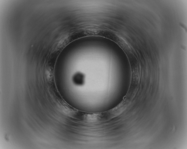X0000096680134200802051254