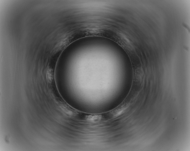 X0000096680135200802051254