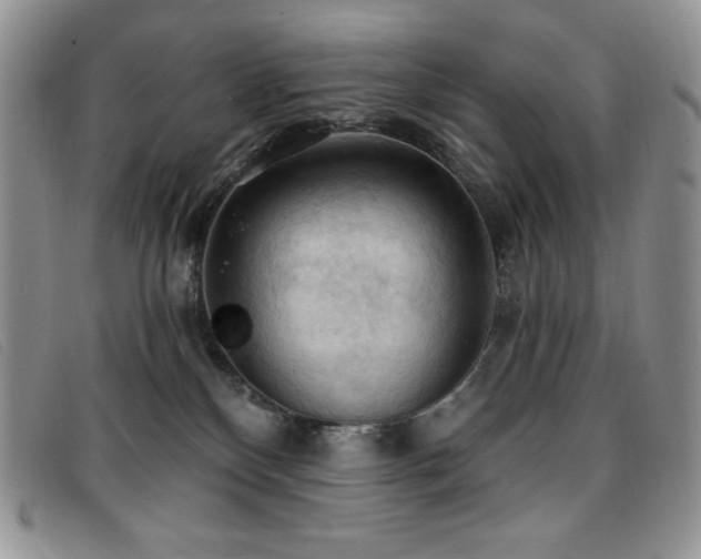 X0000096680136200802051254