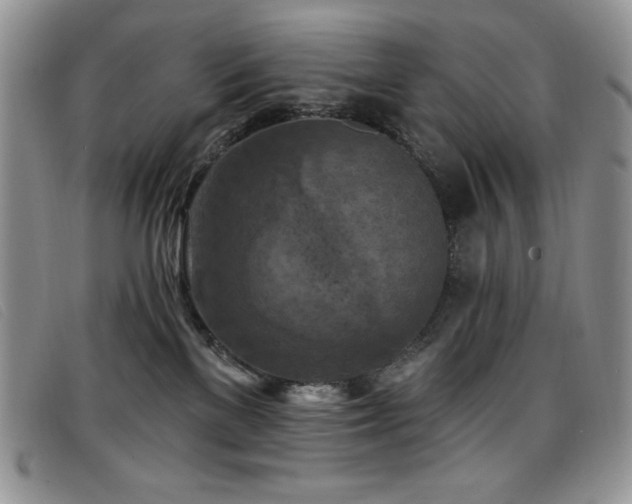 X0000096680137200802051254