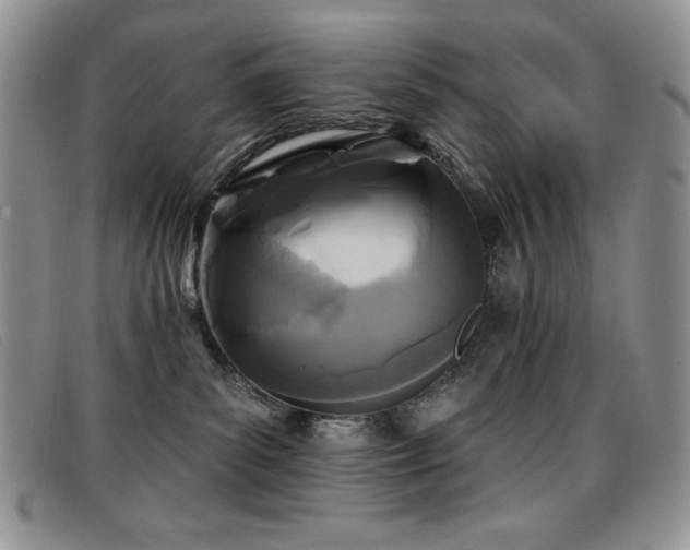 X0000096680139200802051254