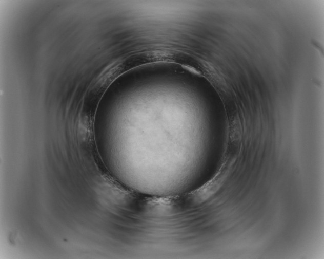 X0000096680140200802051254
