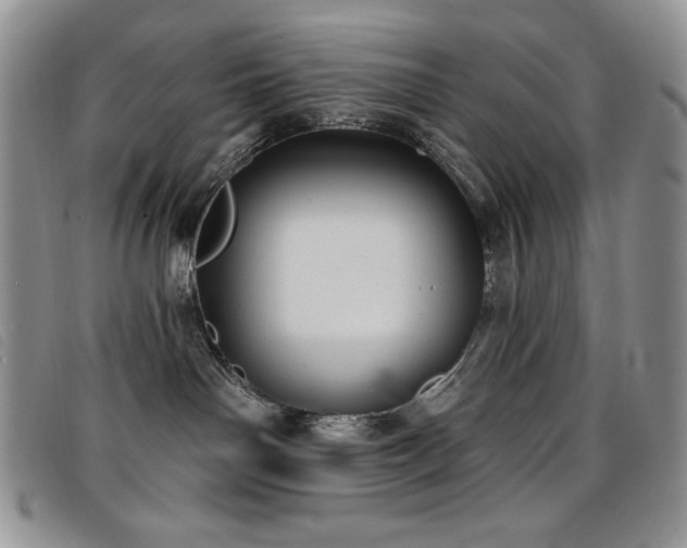 X0000096680142200802051254